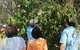 Magnetic Island Tour: Maggie Comprehensive - thumb 4