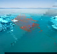 Ocean Freedom Great Barrier Reef Personal Luxury Snorkel  Dive Cruise Cairns - Holiday Jervis Bay