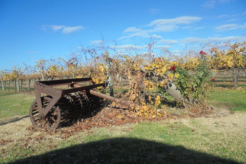 Swan Valley Tour From Perth: Wine, Beer And Chocolate Tastings - Holiday Jervis Bay 3