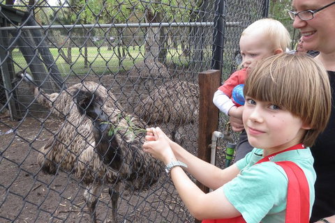 Swan Valley Half-Day Food Tour And Wine Trail From Perth - Holiday Jervis Bay 5
