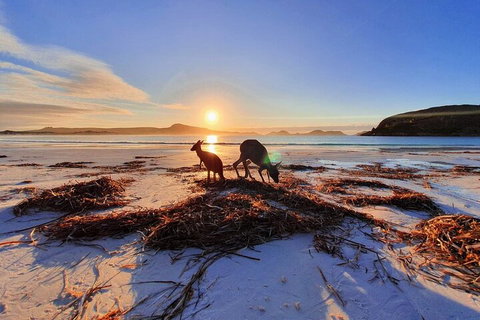 10-Day Perth To Adelaide Adventure Tour - Holiday Jervis Bay 1