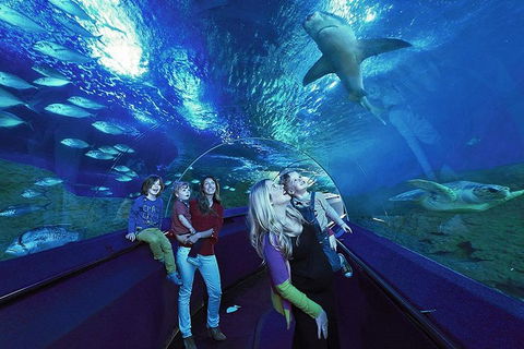 General Admission Entry At AQWA - Holiday Jervis Bay 1
