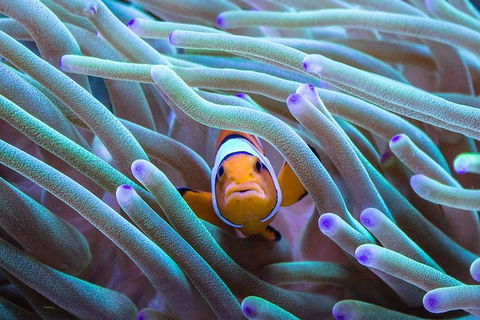 General Admission Entry At AQWA - Holiday Jervis Bay 4