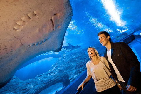 Dive With Sharks At AQWA - Holiday Jervis Bay 0