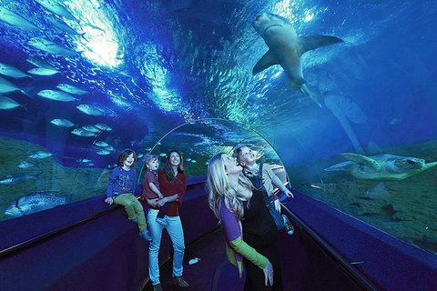 Dive With Sharks At AQWA - Holiday Jervis Bay 5