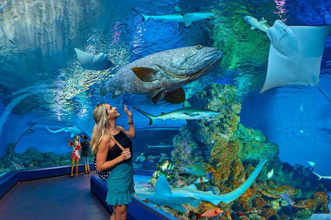 Cairns Aquarium Admission Ticket - Holiday Jervis Bay 3