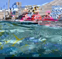 Outer Reef Pontoon Experience from Cairns - Holiday Jervis Bay