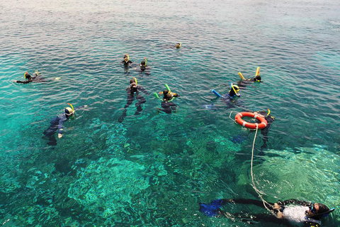 Seastar Luxury Outer Great Barrier Reef Island And Reef Tour From Cairns - Holiday Jervis Bay 2