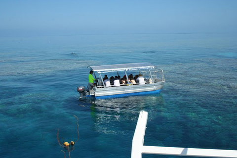 Seastar Luxury Outer Great Barrier Reef Island And Reef Tour From Cairns - Holiday Jervis Bay 5