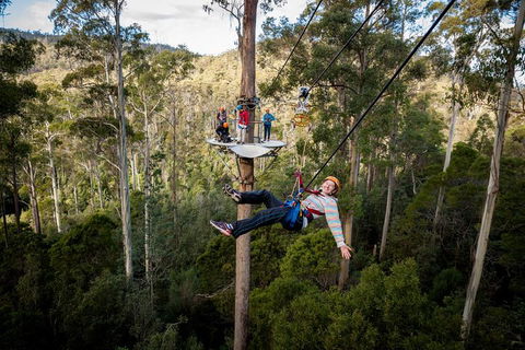 Hollybank Wilderness Adventure - Zipline Tours - Holiday Jervis Bay 0