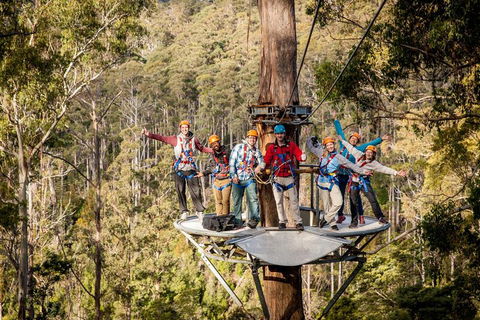 Hollybank Wilderness Adventure - Zipline Tours - Holiday Jervis Bay 1