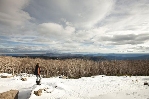 Lake Mountain Snow Trip Including Yarra Valley Chocolaterie From Melbourne - Holiday Jervis Bay 5