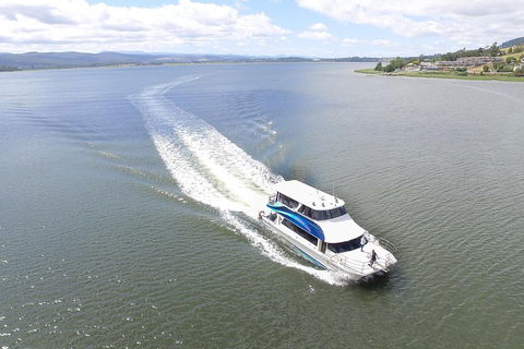 2.5 Hour Morning Discovery Cruise Including Sailing Into The Cataract Gorge - Holiday Jervis Bay 2