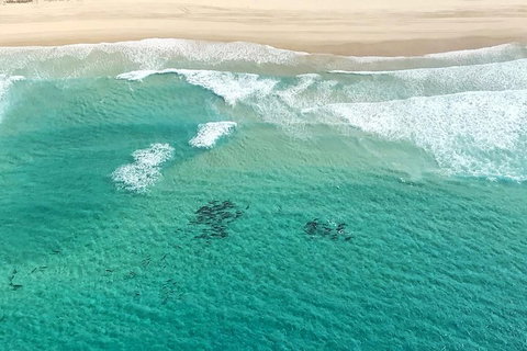 Coastal Helicopter Shared Flight - 20 Minutes - Holiday Jervis Bay 4